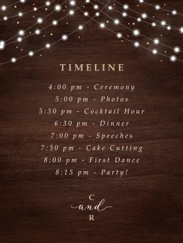 Fairy Lights Program