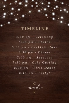 Fairy Lights Program