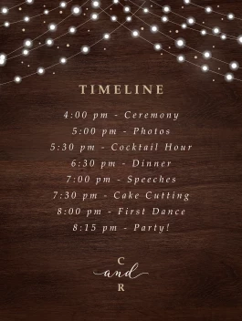 Fairy Lights Program