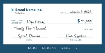 Modern Donation Check