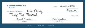 Modern Donation Check