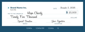 Modern Donation Check