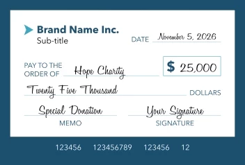 Modern Donation Check