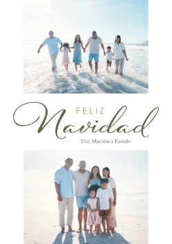 Elegant Feliz Navidad