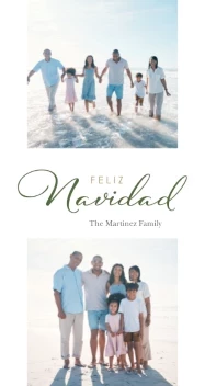 Elegant Feliz Navidad