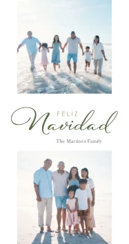 Elegant Feliz Navidad