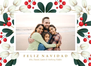 Joyful Flowers Feliz Navidad