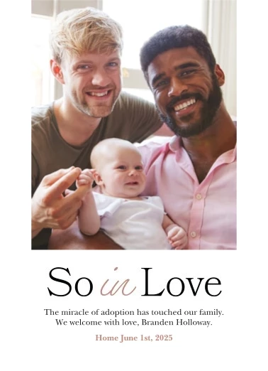 So In Love Adoption