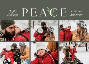 Holiday Peace