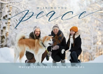 Script Peace Christmas