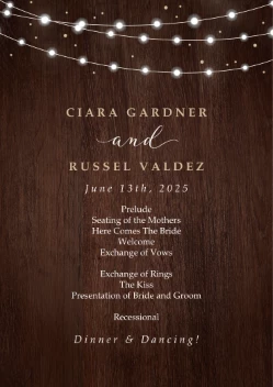 Fairy Lights Program