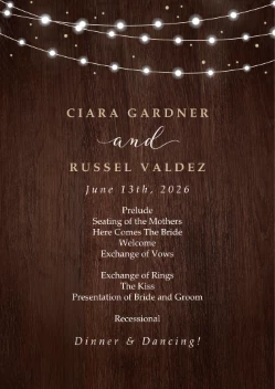 Fairy Lights Program