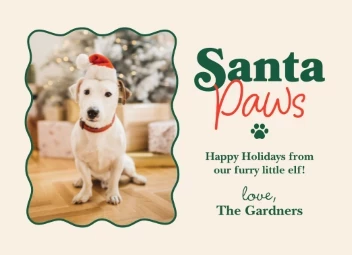 Here Comes Santa Paws