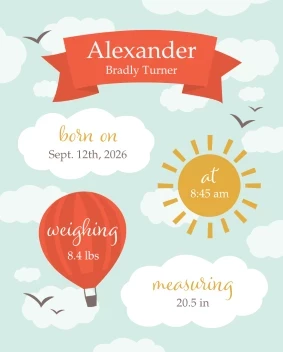 Baby Birth Details