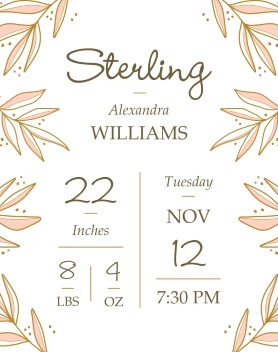 Simple Birth Details