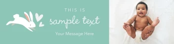 Bunny Baby Banner