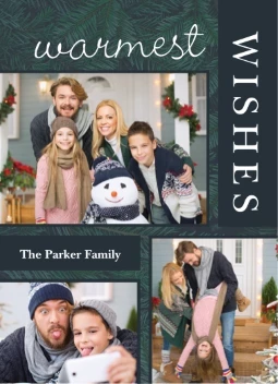 Warmest Wishes Pine