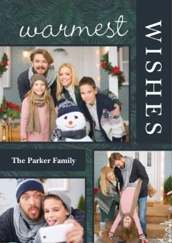 Warmest Wishes Pine