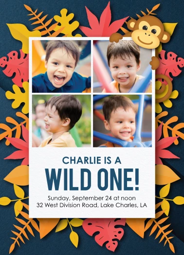 Wild One Boy