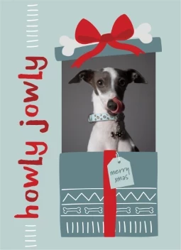 Dog Present Xmas