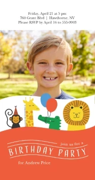 Animals Birthday Party V