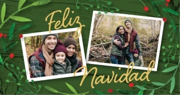 Fern Christmas Borders