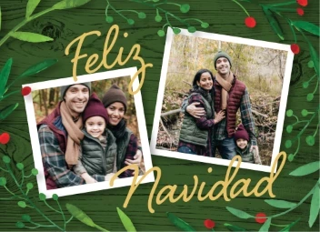 Fern Christmas Borders