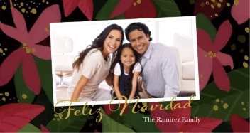 Poinsettia Christmas Floral