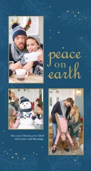 Holiday Gifts and Evergreen