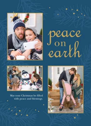 Holiday Gifts and Evergreen