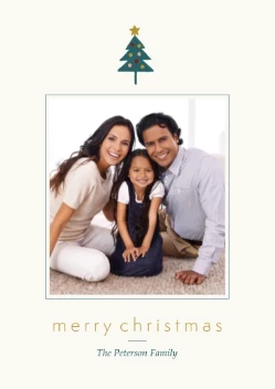 Diverse Christmas Trees