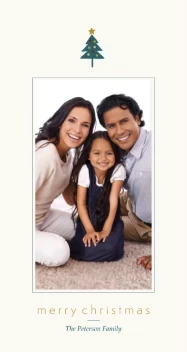 Diverse Christmas Trees