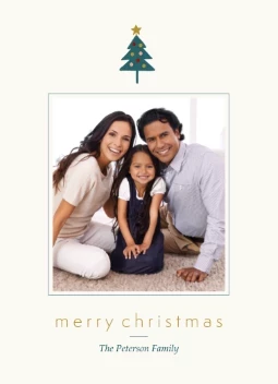 Diverse Christmas Trees