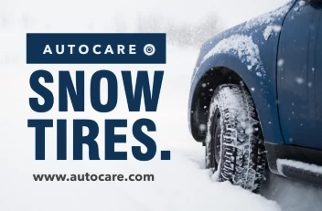 Bold Autocare