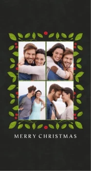 Painted Berries Symmetry