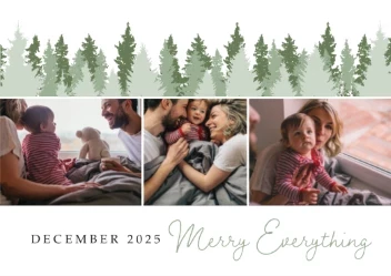 Christmas Trees Scenery