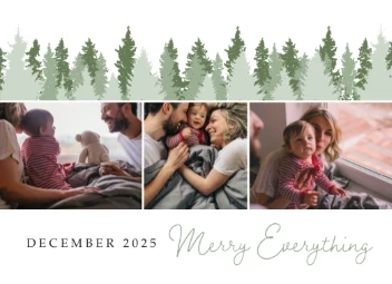 Christmas Trees Scenery