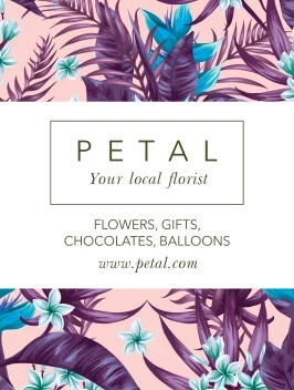 Illustration Tropical