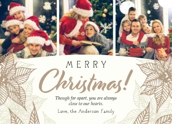 Delicate Poinsettia Christmas