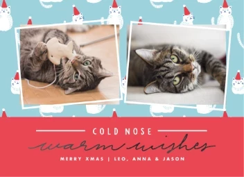 Cats Pattern Collage