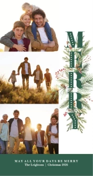 Vertical Merry
