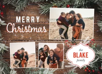 Frosty Wood