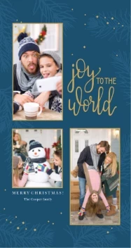 Holiday Gifts and Evergreen