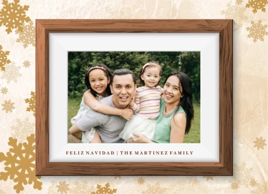 Snowflakes Frame
