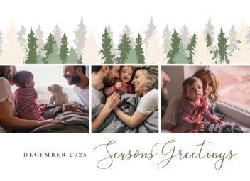 Christmas Trees Scenery