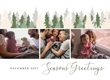 Christmas Trees Scenery