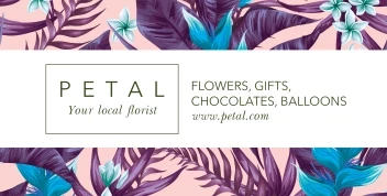 Illustration Tropical