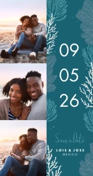 Beach Wedding Date