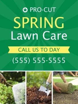 Spring Lawn