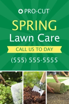 Spring Lawn